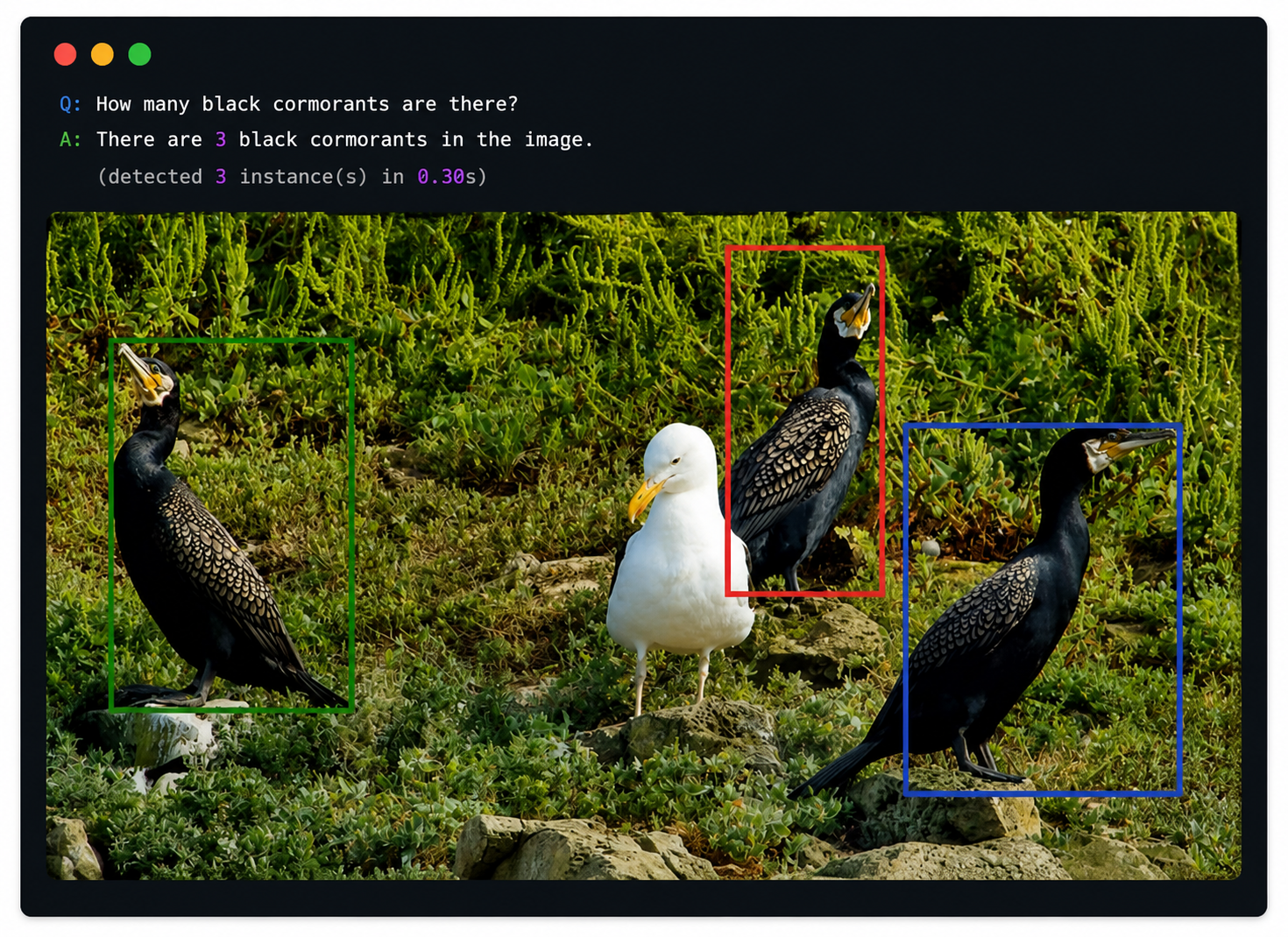 Custom image counting example