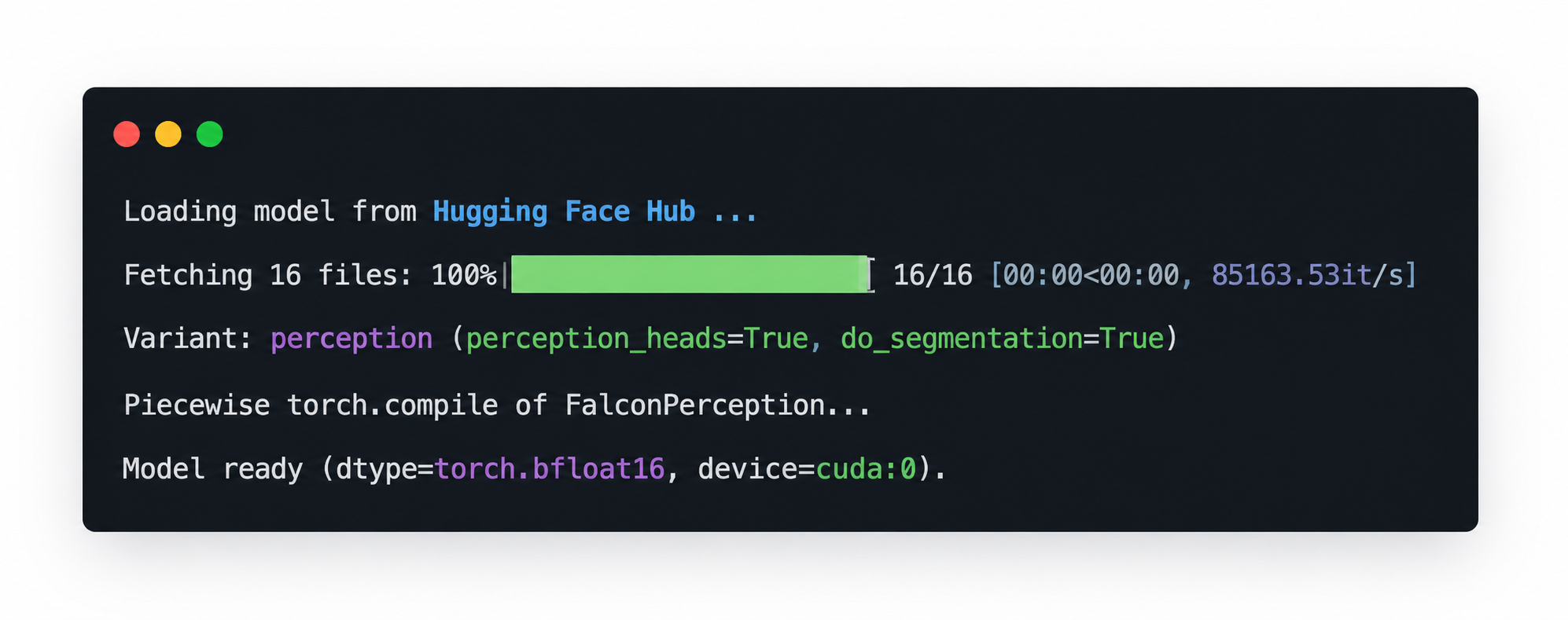 Successful Falcon Perception model loading output